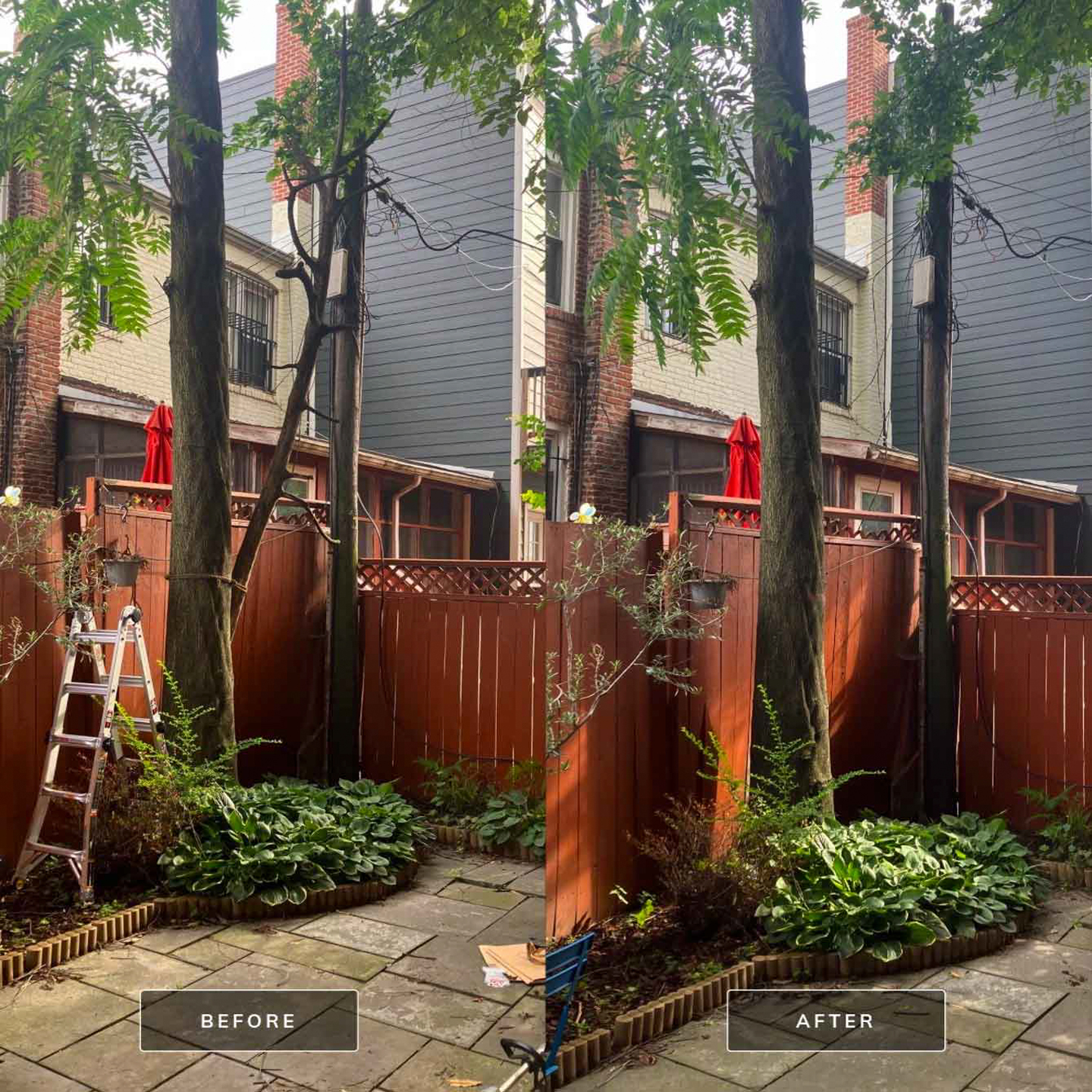 Tidy cleanup and raked finish