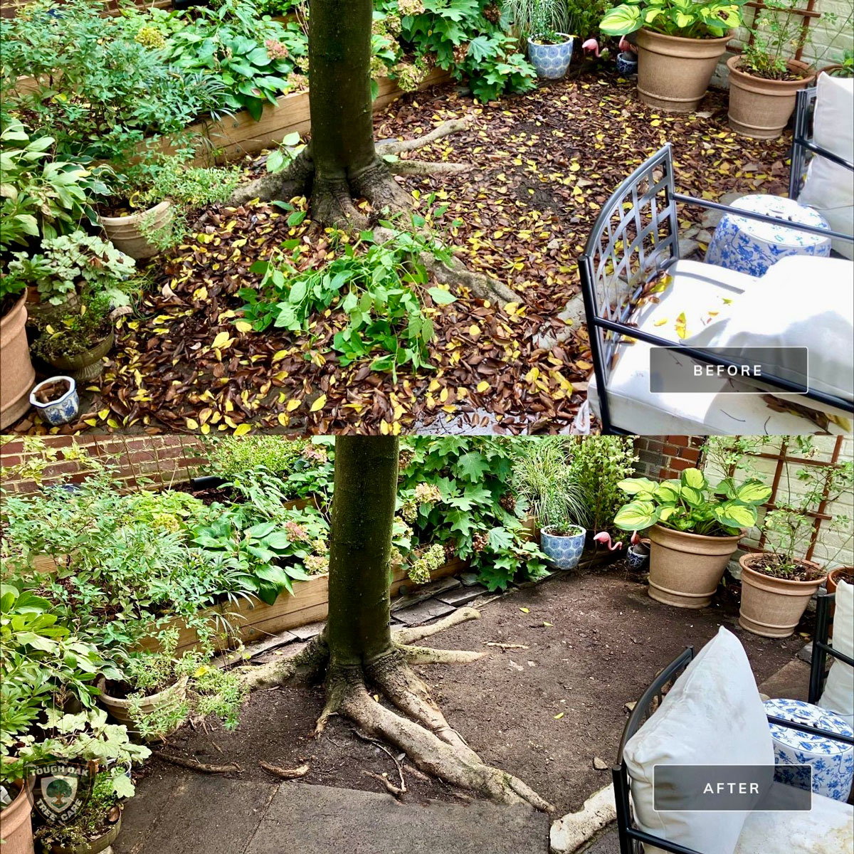 Leaf removal from courtyard patio in Annapolis Maryland