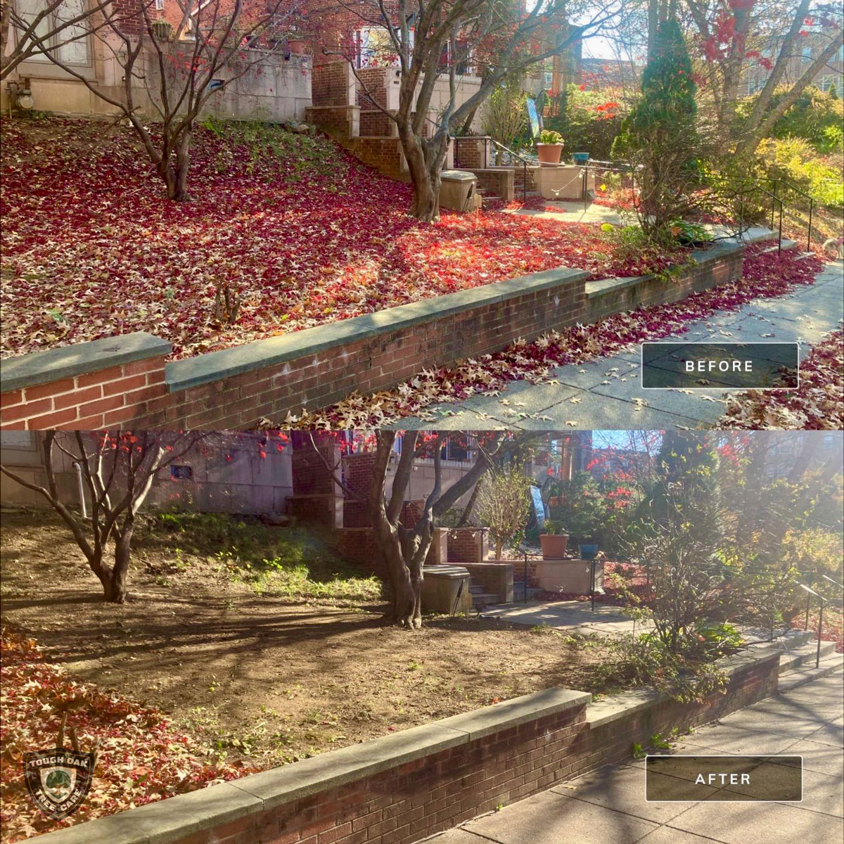 Leaf removal from hillside bed in Annapolis Maryland