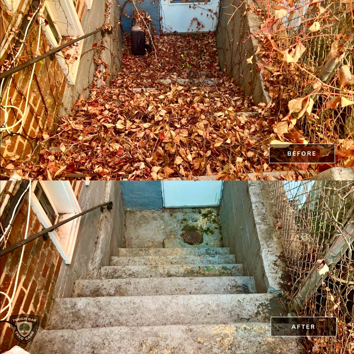 Leaf removal from basement steps in Ellicott City Maryland