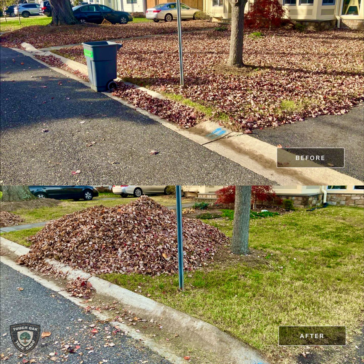 Leaf removal from curbside yard in Glen Burnie Maryland
