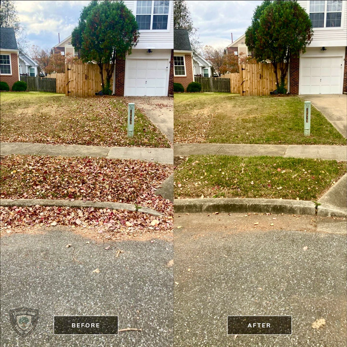 Leaf removal from front yard and driveway in Glen Burnie Maryland