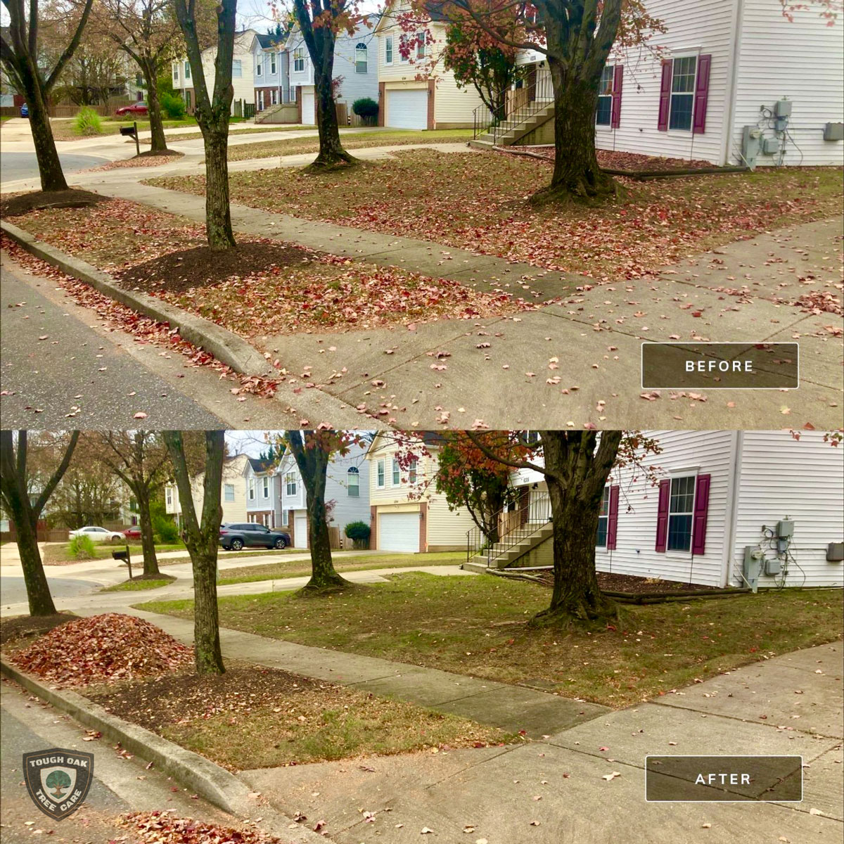 Leaf removal from corner lot and sidewalk in Pasadena Maryland
