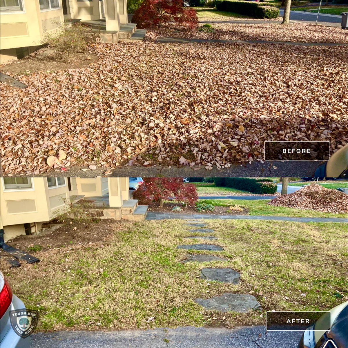 Leaf removal from stepping stone yard in Pasadena Maryland