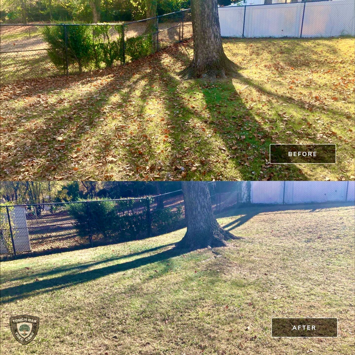 Leaf removal from fence line yard in Severna Park Maryland